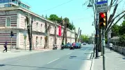 Asırlık Çınarlar İBB İhmaliyle Göz Göre Göre Kurudu