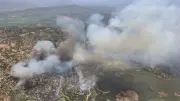 Aydın Söke'de zeytinlik alanda yangın: Ekipler müdahale ediyor