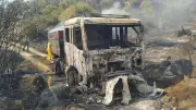 Aydın'da 8 saat süren yangında 100 hektar zeytinlik kül oldu