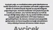 Ayçiçek Yağının Kaderi Üç Üreticiye Bağlı: Rusya, Ukrayna ve AB