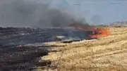 Balıkesir Bandırma'da Otluk Yangını: Tarım Arazileri Zarar Gördü