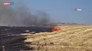 Bandırma'da otluk yangını rüzgarla yayıldı, tarım arazileri zarar gördü