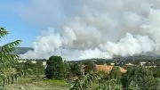 Bilecik'teki Orman Yangını 3 Saat Sonra Kontrol Altına Alındı