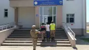 Bingöl'de 42 Bin 712 Kök Hint Keneviri Ele Geçirildi, 17 Gözaltı