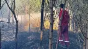 Bingöl'de Bahçe Yangını Ormanlık Alana Sıçramadan Söndürüldü