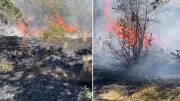 Bitlis'te mezarlık çevresinde yangın: Yerleşim yerlerine sıçramadan söndürüldü