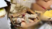 Bodrum'da 1 Ton 200 Kg Son Kullanma Tarihi Geçmiş Gıda Ele Geçirildi