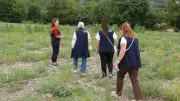 Bolu'da Kadın Çiftçilerin Nohut Projesi Yetkililer Tarafından İncelendi