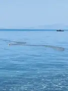 Bu Suyun Neresi İyi? Söyler misiniz? – Aytuğ'un Yazısı