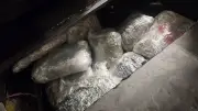 Bulgaristan'da Alman plakalı araçta 47.5 kg esrar ele geçirildi