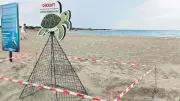 Caretta Caretta Yuvalarına Zarar Verene 700 Bin TL Ceza