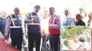 Dipsiz Kuyu: Gecikmenin Faturası 244 Milyon Dolar