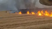 Diyarbakır Silvan'da 5 Bin Dönümlük Alanda Anız Yangını