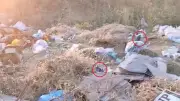 Diyarbakır'da boş arazideki çöpler fare yuvasına döndü