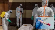 Ebola Virüsü Salgınında Can Kaybı 600'e Yükseldi