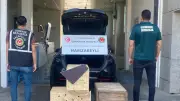 Edirne'de 2 vaşak ve 2 serval kedisi kaçakçılıktan kurtarıldı