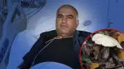 Erzurum'da 30 yıllık mantar toplayıcısı yoğun bakımlık oldu