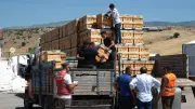 Güdül'de arıcılara yüzde 50 hibe ile kovan desteği sağlandı