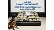 Hakkari'de 57 Kilo Skunk Ele Geçirildi, Sürücü Gözaltında