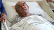 Kars'ta Gezintiye Çıkan Adama Ayı Saldırdı: Bacağı Kırıldı