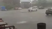 Kars'ta Şiddetli Yağmur ve Fırtına Çatıları Uçurdu, Ağacı Kökünden Söktü