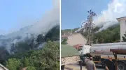 Kastamonu Tosya'da orman yangını: Ekipler seferber oldu