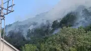 Kastamonu Tosya'da Orman Yangını: Ekiplerin Müdahalesi Sürüyor