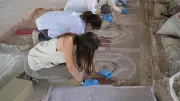 Kastamonu'da 1800 Yıllık Roma Villası Mozaikleri Gün Yüzüne Çıkarılıyor