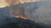 Kaş'taki Orman Yangınına Havadan ve Karadan Müdahale Sürüyor