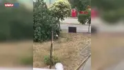 Kocaeli Gölcük'te cani yeğen dehşeti: Dayısını palayla öldürdü