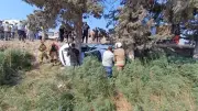 Kırıkhan'da feci kaza: 7 kişi yaralandı