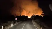 Kütahya'da Ekili Arazide Çıkan Yangın Ormanlık Alana Sıçramadan Söndürüldü