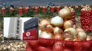 Kuru Soğanda Gümrük Vergisi Geçici Olarak Yüzde 5'e İndirildi