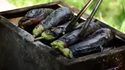 Közlenince bambaşka oluyor! Yaz sofralarının yıldızı patlıcan tarifi