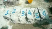 Malazgirt'teki kazılarda çıkarılan iskeletler bilimsel incelemeye alındı