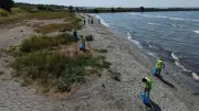 Marmaraereğlisi'nde Kıyı Temizliği Etkinliği Düzenlendi