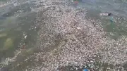 Marmaris Bördübet kıyısında deniz plastik atıklarla kaplandı