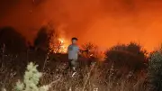 Meteoroloji'den Muğla'ya orman yangını risk uyarısı: Sıcaklık 41 dereceye çıkacak