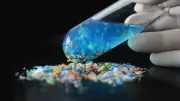 Mikroplastiklerin Vücutta Biriktiği Yerleri Saptayan Test Geliştirildi