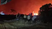 Milas'ta orman yangını: 1120 kişi tahliye edildi, söndürme çalışmaları sürüyor