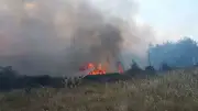 Muğla Menteşe'deki orman yangınında 1 kişi gözaltına alındı