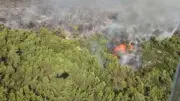 Muğla Milas'ta orman yangını: 8 uçak, 10 helikopter müdahale ediyor
