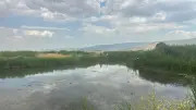 Muş'ta balık avlarken suya düşen 2 kuzen boğularak hayatını kaybetti