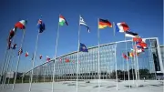 NATO Üyesi Ülkeler 2026 Güncel Listesi: Fransa, Rusya, Ukrayna, Japonya, Güney Kore Üye mi?