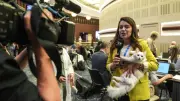 NATO Zirvesi'nde Ankara Kedisi Lokum ve Yavrusu Akkız İlgi Odağı Oldu