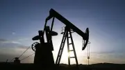 Nijerya'da 12 Kaçak Petrol Tesisi Kapatıldı, 84 Kişi Gözaltına Alındı