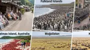 İnsan Nüfusunun Azınlıkta Olduğu 8 Yer: Sokakları ve Evleri Başka Canlılar Yönetiyor