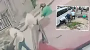 Ordu Fatsa'da Aile Katliamı: 3 Kişi Silahla Öldürüldü, Şüpheli Kaçtı