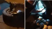 Osmaniye'de yedek lastikte 9 kilo 400 gram uyuşturucu ele geçirildi