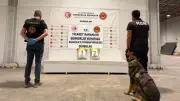 Oyuncak Gitara Gizlenmiş 23 Kilo Uyuşturucu Ele Geçirildi